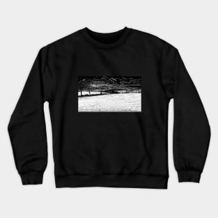 the storm Crewneck Sweatshirt